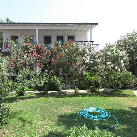 Arriba Pension & Restaurant Gümüşlük Exteriör bild