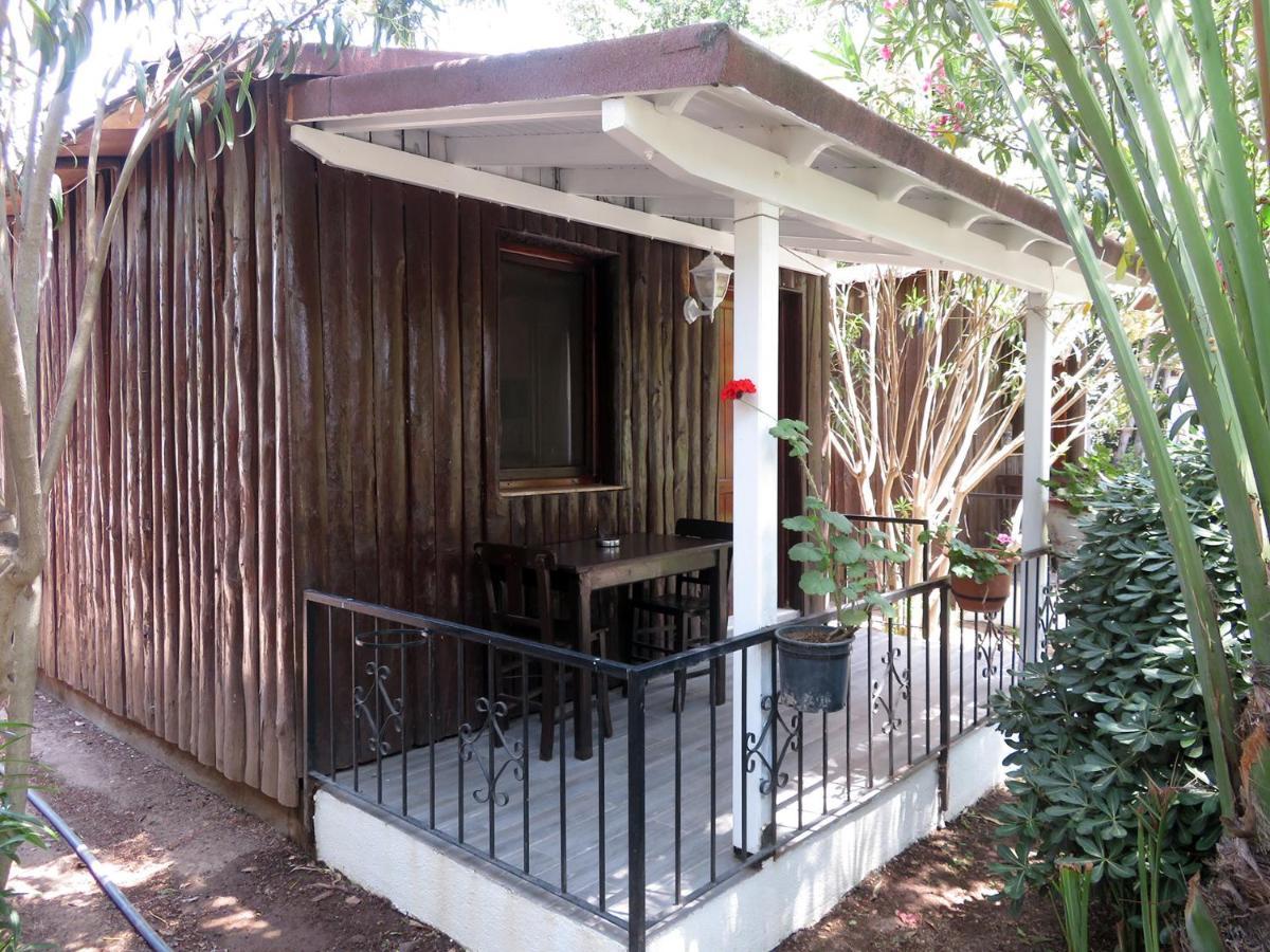 Arriba Pension & Restaurant Gümüşlük Exteriör bild