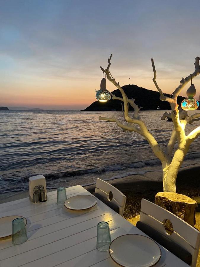 Arriba Pension & Restaurant Gümüşlük Exteriör bild