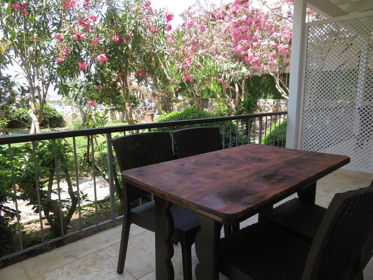 Arriba Pension & Restaurant Gümüşlük Exteriör bild