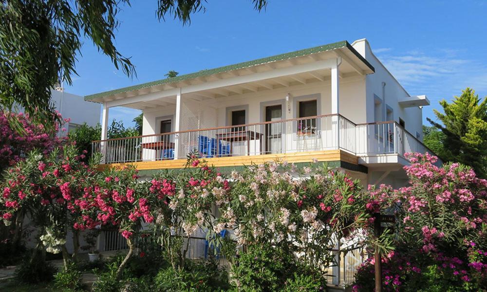 Arriba Pension & Restaurant Gümüşlük Exteriör bild