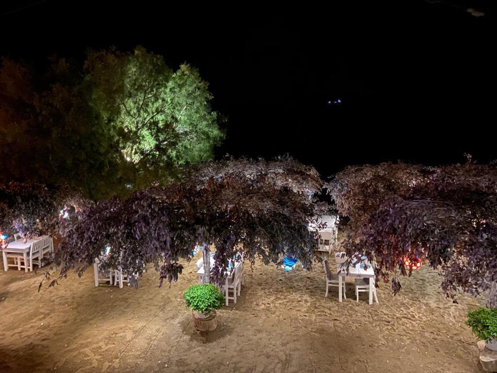 Arriba Pension & Restaurant Gümüşlük Exteriör bild