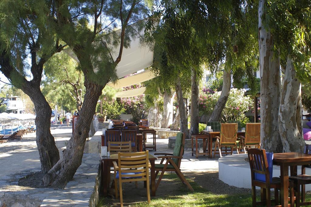 Arriba Pension & Restaurant Gümüşlük Exteriör bild