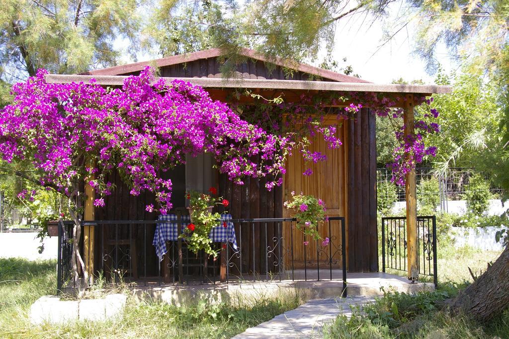 Arriba Pension & Restaurant Gümüşlük Exteriör bild