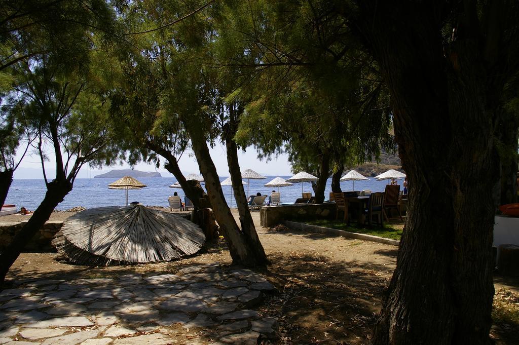 Arriba Pension & Restaurant Gümüşlük Exteriör bild