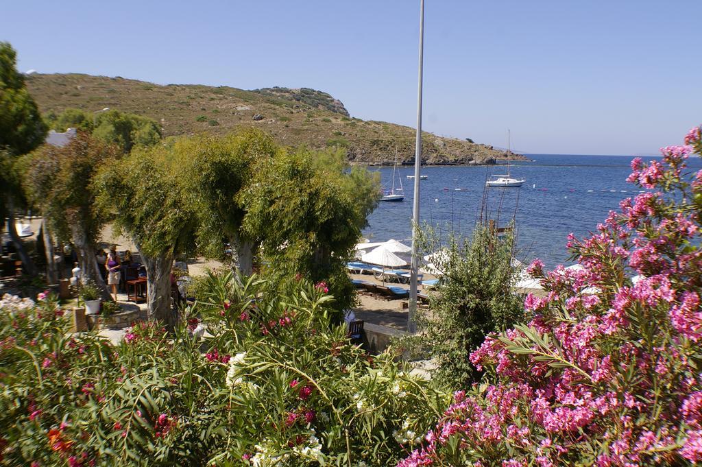 Arriba Pension & Restaurant Gümüşlük Exteriör bild